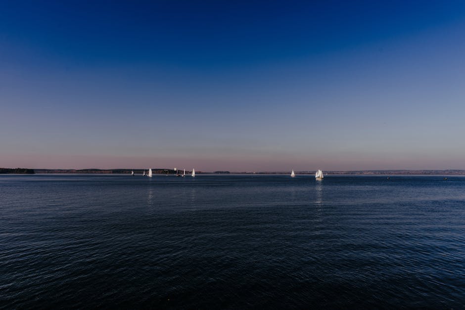 First Light